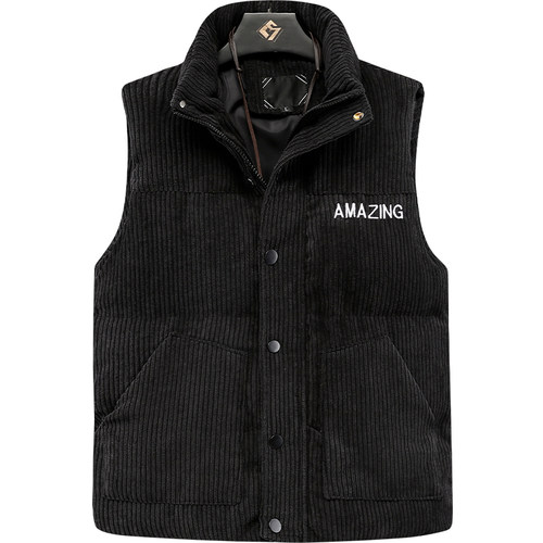 马甲男士秋冬季立领棉马夹韩版潮流百搭短款修身棉衣冬装坎肩外套 - 图3