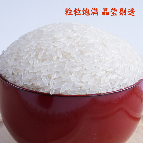 【五米常香旗舰店】有机五常大米溯源五常大米5kg25年新米真空装 - 图1