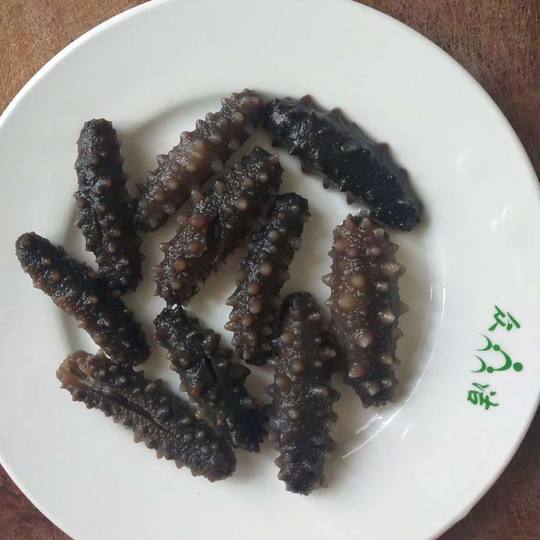 Leicht getrocknete kleine Seegurken, Trockenwaren, am Boden gesäte Liao-Ginseng-Meeresfrüchte, nicht frischer, verzehrfertiger Mini-Porridge, kommerzielle schadstofffreie Seegurken