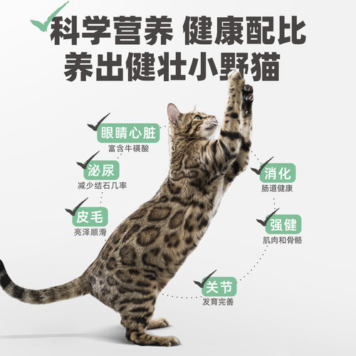 【囤货装】Schesir雪诗雅意大利彩虹猫罐头进口猫零食营养56罐 - 图0