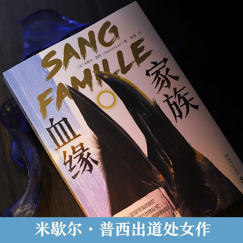 家族血缘 法国悬疑大师米歇尔普西 放飞想象力的一部作品 可读性复杂性 人性的善恶 她不是我妈妈直到那一天 经典悬疑长篇小说正版 - 图1