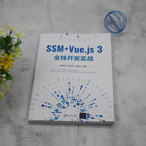 SSM+Vue.js 3全栈开发实战-图0