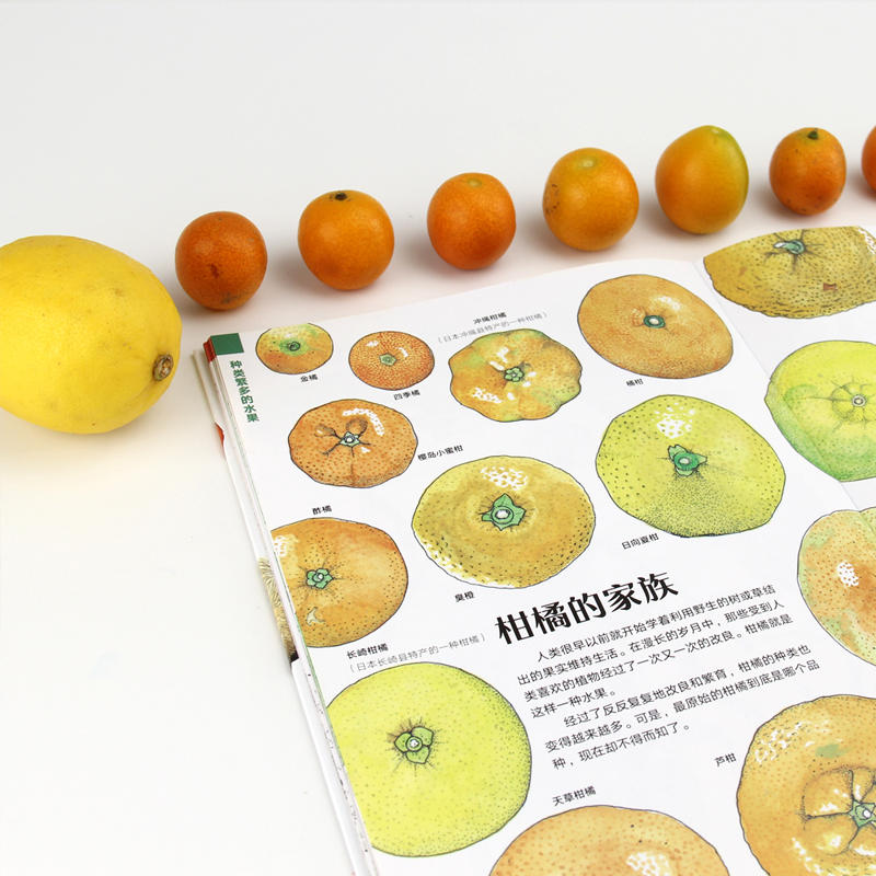 后浪正版 水果的秘密 盛口满的手绘自然图鉴 日本童书研究会儿童插图科普百科绘本书籍 浪花朵朵 - 图2