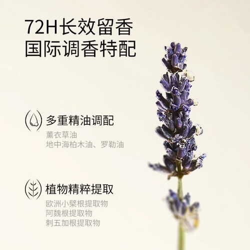 香鉴香近洗发水沐浴露护发素身体乳液丽薰衣草精油持久留香枫酒店 - 图2