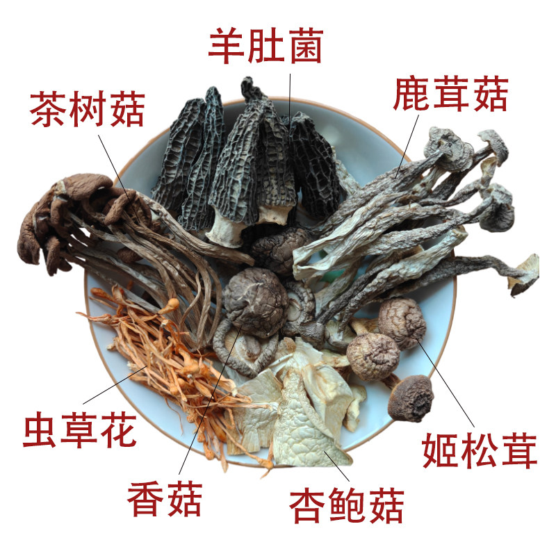 安徽大别山金寨七彩菌菇汤包干货煲汤食材,淘宝优惠券,粉丝福利购,淘宝优惠卷