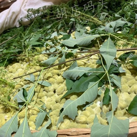 正宗纯手工香菇酱牛肉酱拌饭下饭川味香酱不辣安徽六安金寨大别山,淘宝优惠券,粉丝福利购,淘宝优惠卷