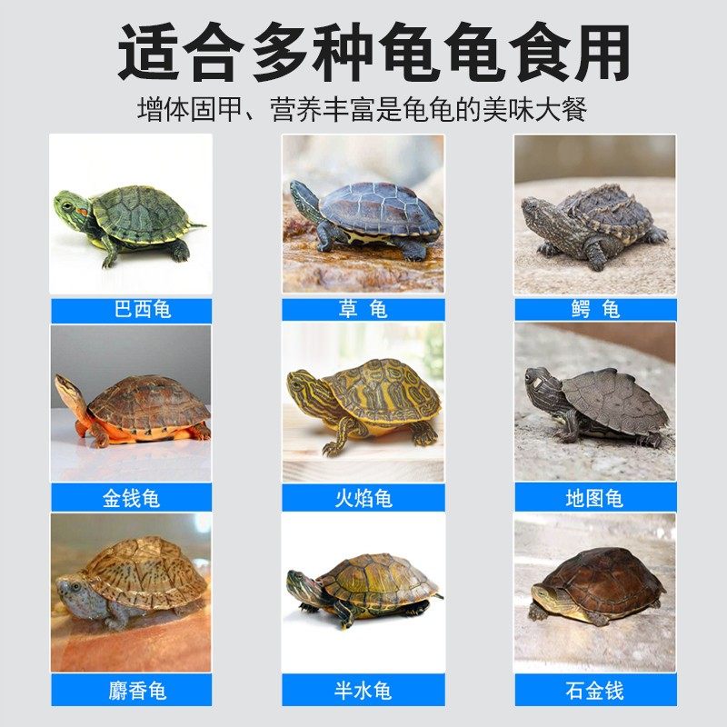 龟粮幼龟乌龟饲料巴西龟草龟鳄龟龟苗开口粮小乌龟食专用冻干红虫,淘宝优惠券,粉丝福利购,淘宝优惠卷