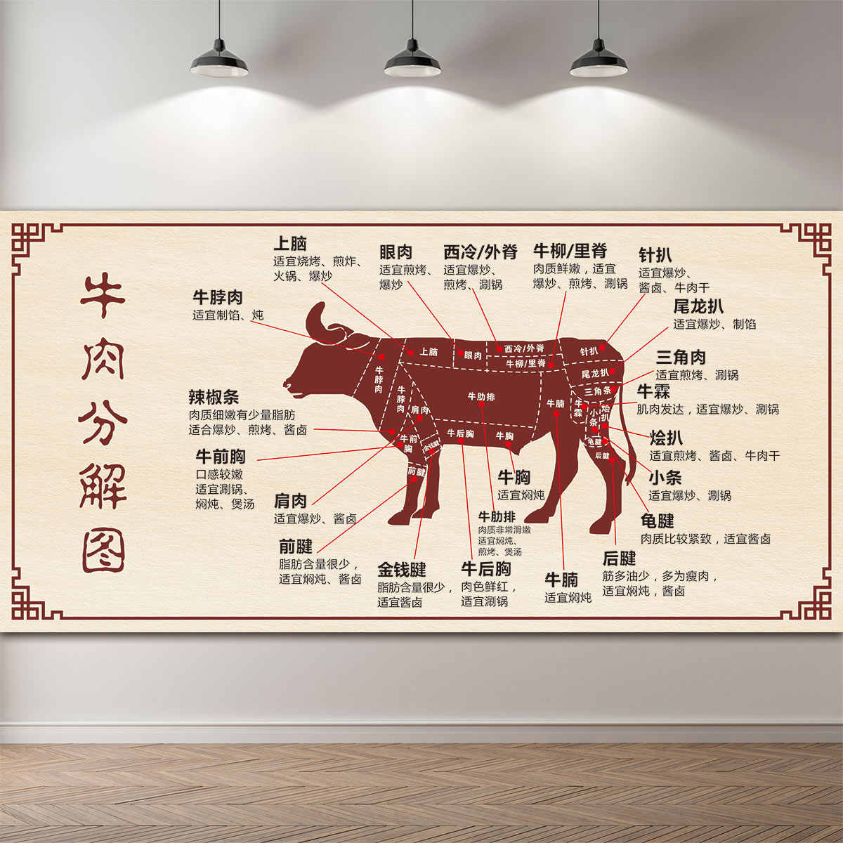 牛分解图贴 新人首单立减十元 22年2月 淘宝海外