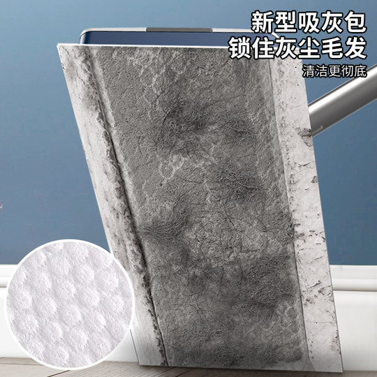 Élimination des moisissures au plafond, nettoyage des murs, outil de nettoyage du toit