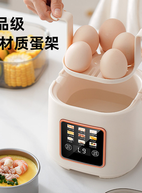 110v蒸蛋器煮鸡蛋神器美规出口用