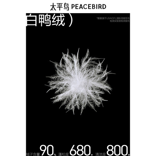 太平鸟男装 面包服男短款潮流字母压胶防寒服休闲廓形羽绒服 - 图3
