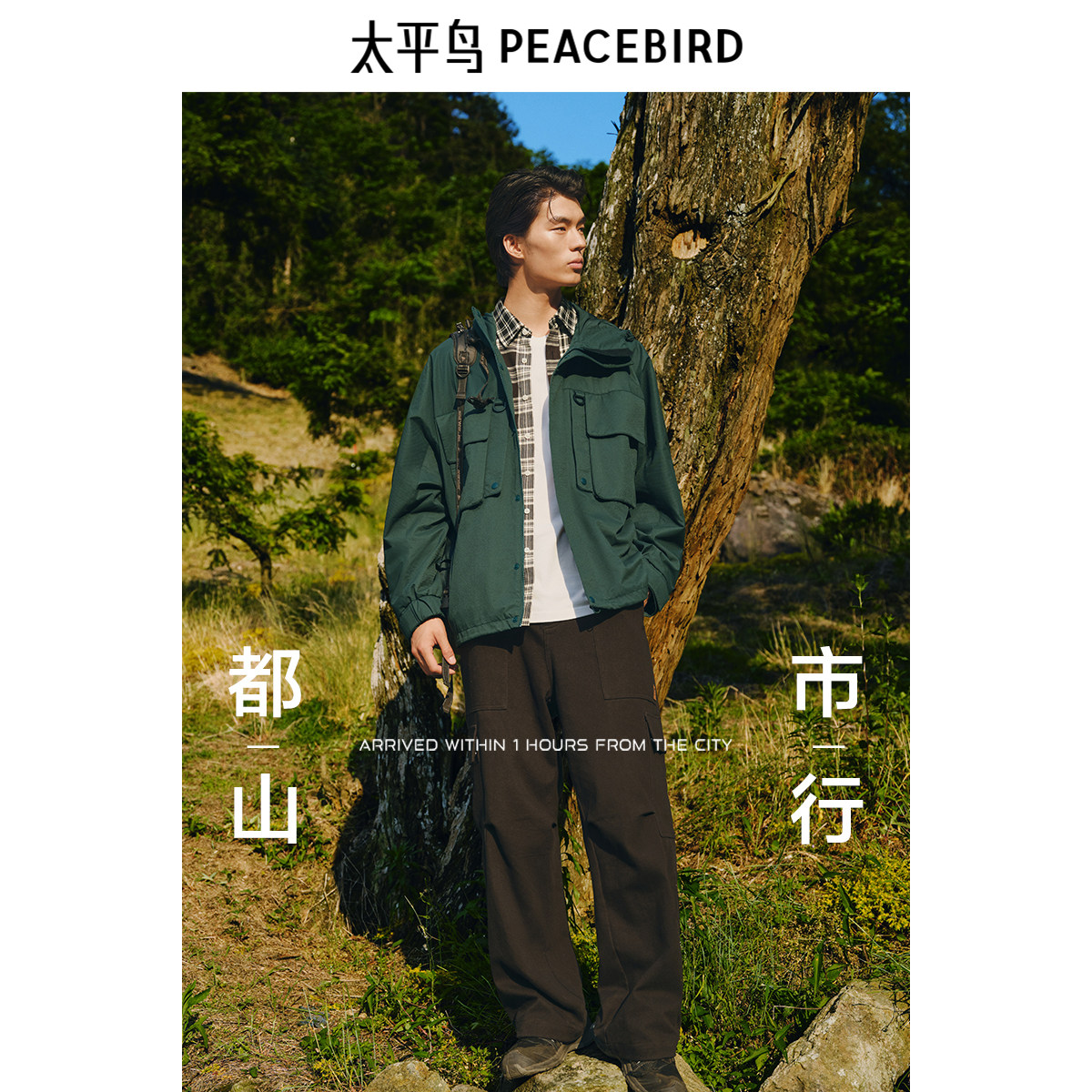 图 2