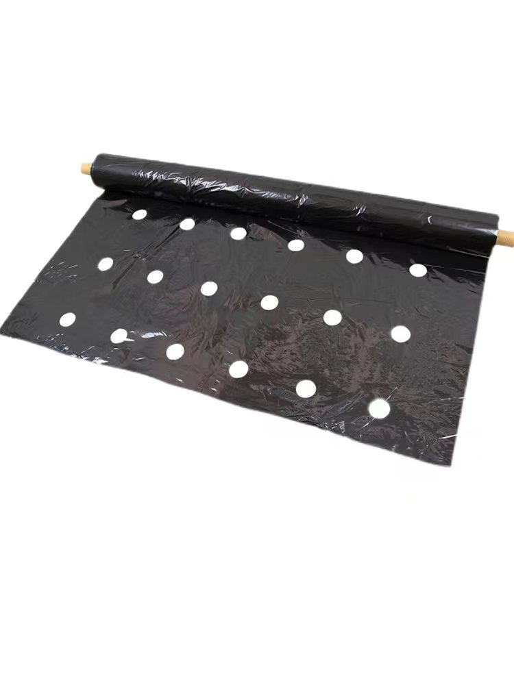 免打孔地膜农用打孔有孔除草黑地膜银黑双色反光种菜专用带孔地膜,淘宝优惠券,粉丝福利购,淘宝优惠卷