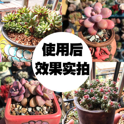 拍2发3爆芽素多肉植物爆侧芽多肉细胞分裂素植物生长调节剂促群生 虎窝淘