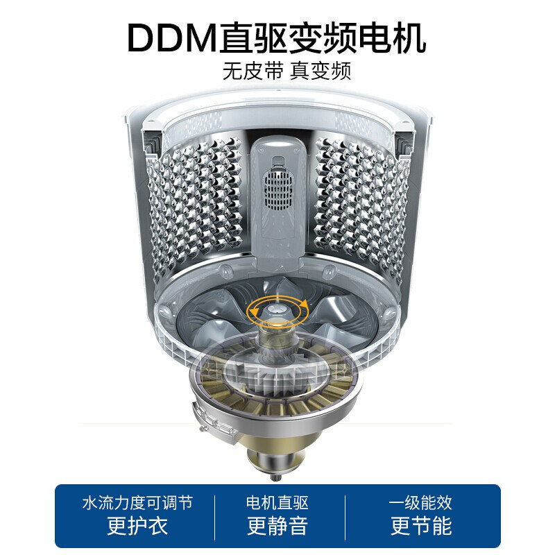 威力10kg公斤DD直驱变频波轮洗衣机全自动大容量家用XQB100-2079D