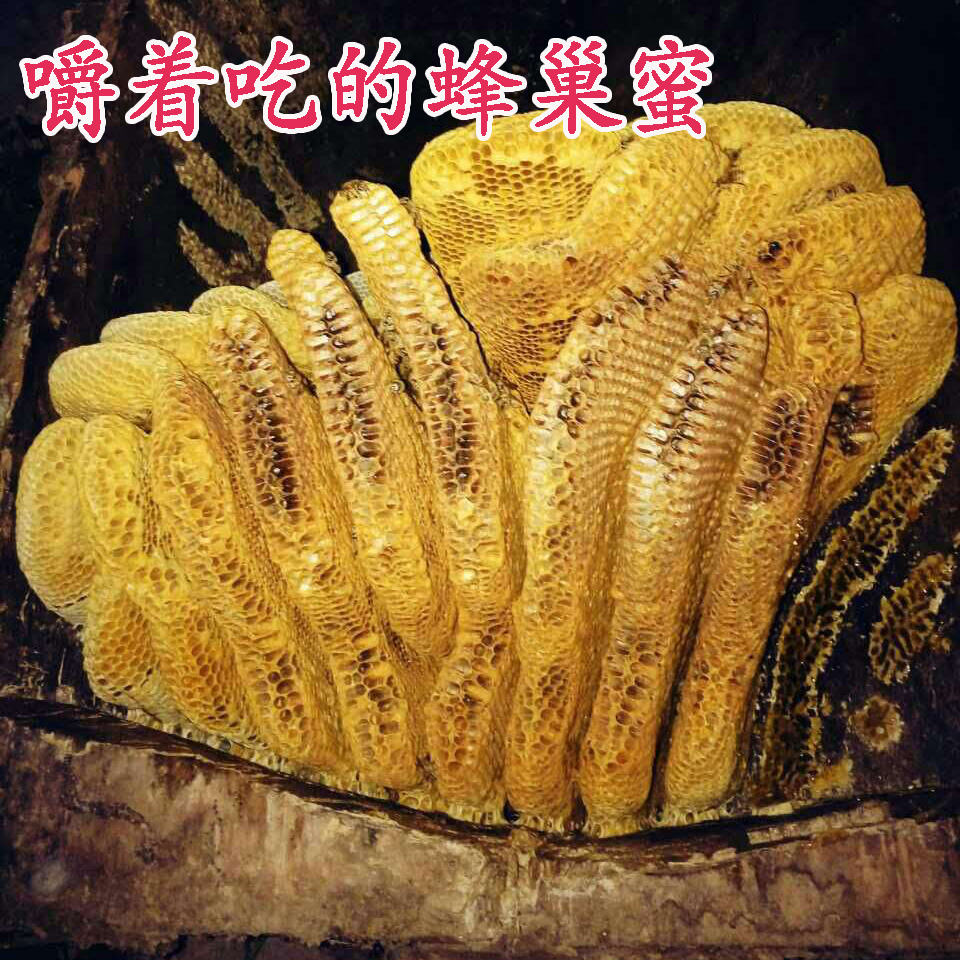 蜂巢纯诺尔野生巢蜜 Honeycomb pure natural wild honey nest-图3