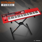 Roland Roland XPS-10 Synthery Начало работы по домохозяйству модель 61 MIDI MIDI Professional Professional Arening Arening Электронная клавиатура