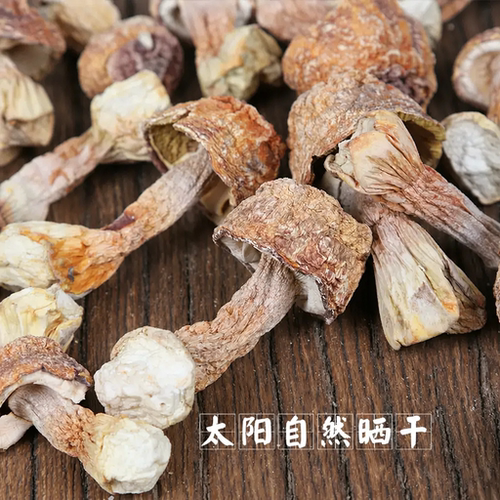 姬松茸100克干货小姬 松茸 菌 精选姬松耸蘑菇巴西菌菇鸡松茸 - 图2