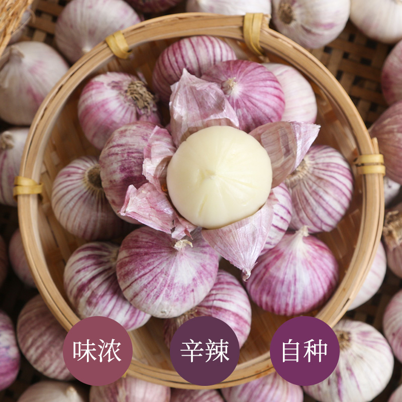特色谷特产网：四川特产独蒜紫皮独头大蒜3斤独头蒜紫蒜红皮大蒜农家自种干蒜头