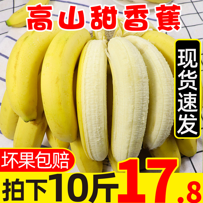 喜多鲜旗舰店现货云南高山甜大香蕉新鲜10斤当季水果应季芭蕉甜蕉大蕉整箱包邮0