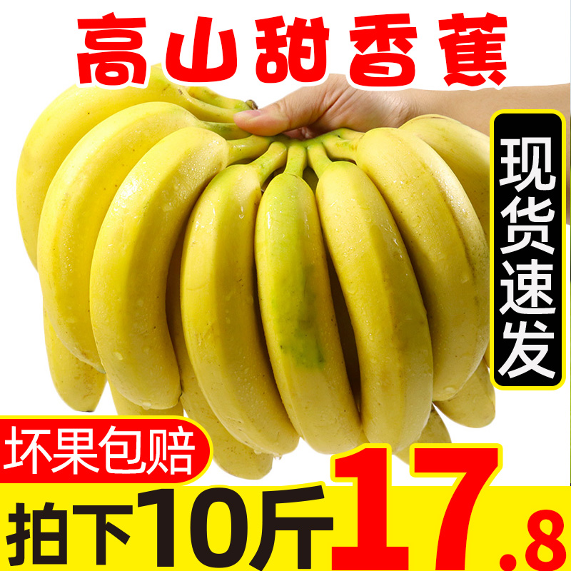 喜多鲜旗舰店现货云南高山甜大香蕉新鲜10斤当季水果应季芭蕉甜蕉大蕉整箱包邮1