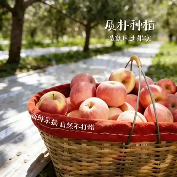 阿克苏冰糖心苹果 新疆直发 16斤整箱装[2元优惠券]-寻折猪