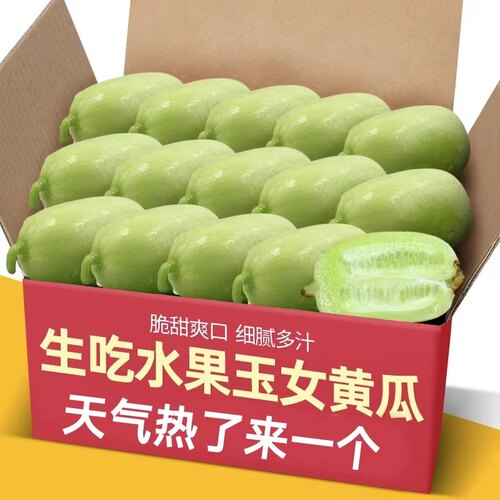 糖尿人专用零食品解馋零食吃的水果拇指黄瓜孕妇糖友控糖旗舰店 - 图1