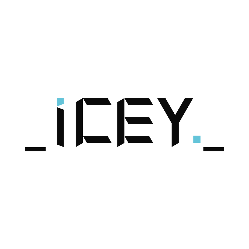 PC中文正版 steam平台 国区 游戏 艾希 ICEY 激活码 Key - 图3