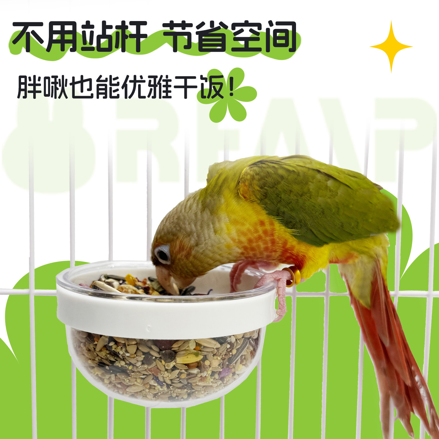 虎皮鹦鹉牡丹玄凤食盒食罐食盆鸟杯星空杯喂食器挂碗防溅洒,淘宝优惠券,粉丝福利购,淘宝优惠卷