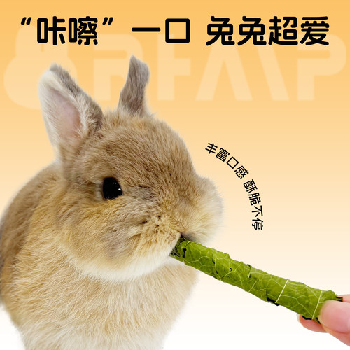 赫尔达桑叶卷烘干天然牧草兔子干草龙猫荷兰猪零食高蛋白桑叶零食 - 图3