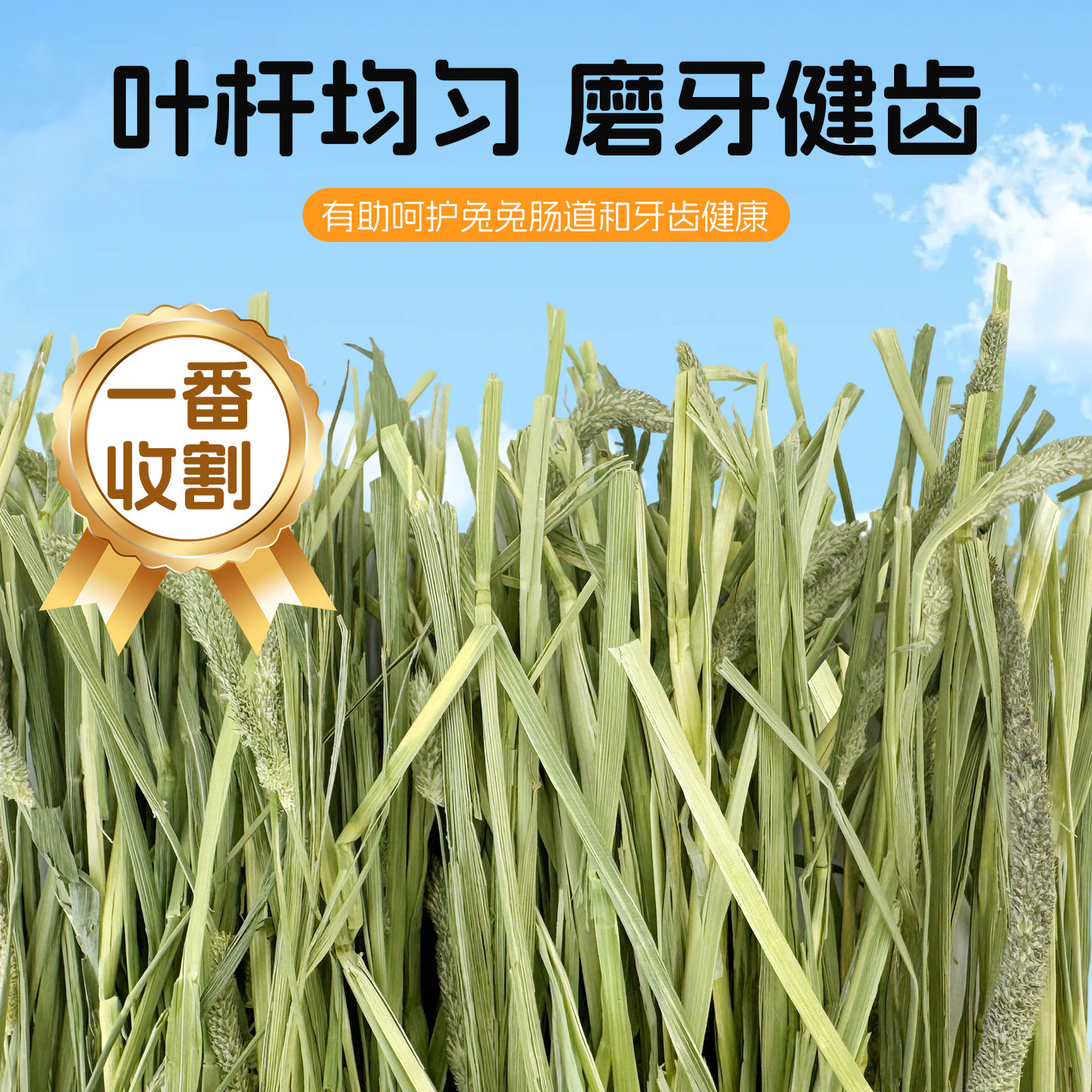 25年特优级美提美国wr提摩西草兔草荷兰猪龙猫干草磨牙提摩西草,淘宝优惠券,粉丝福利购,淘宝优惠卷