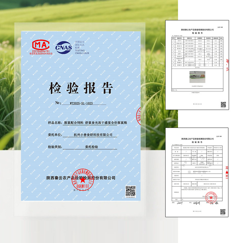 舒鼠食光荷兰猪专用粮食豚鼠粮饲料主粮提摩西干草压缩颗粒荷兰鼠,淘宝优惠券,粉丝福利购,淘宝优惠卷