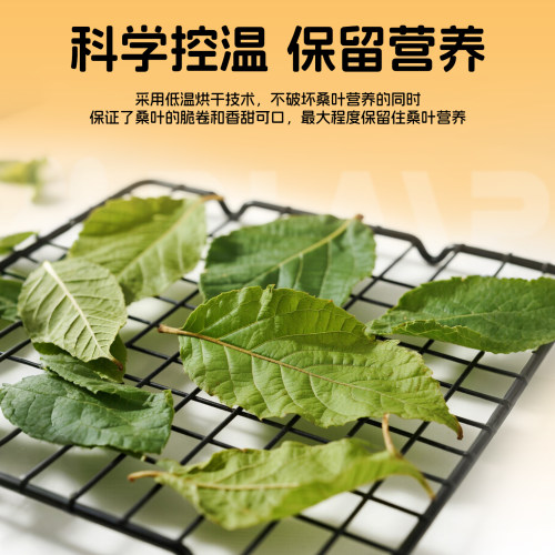 赫尔达桑叶卷烘干天然牧草兔子干草龙猫荷兰猪零食高蛋白桑叶零食 - 图2