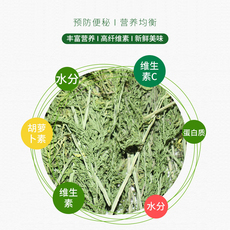 Кролик кролик Хей 现货烘干胡萝卜缨兔粮幼兔饲料干草料兔子食用草龙猫牧草叶子干叶