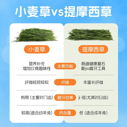 兔兔窝总店 精品烘干小麦草干草牧草 兔子龙猫荷兰猪500g全国包邮 - 图1
