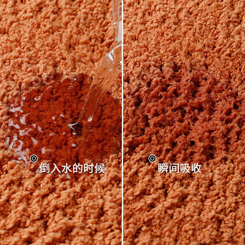 浴室吸水地垫卫生间门口防滑垫子厕所门垫卧室进门脚垫家用小地毯