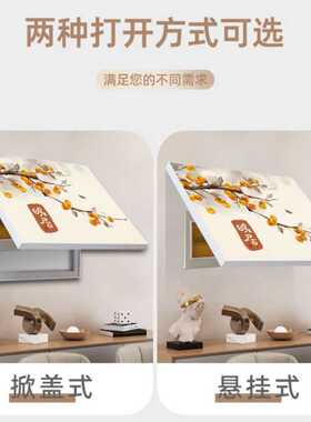电表箱外壳盖子家用配电箱高品质