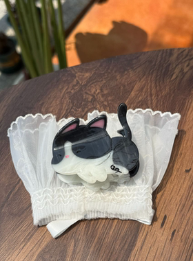 猫咪醋酸抓夹布偶猫猫发夹