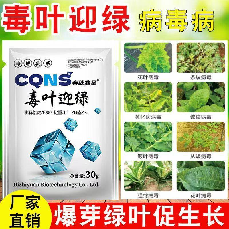 毒叶迎绿病毒病专用辣椒黄瓜西红柿番茄蔬菜花叶小叶卷叶黄叶,淘宝优惠券,粉丝福利购,淘宝优惠卷