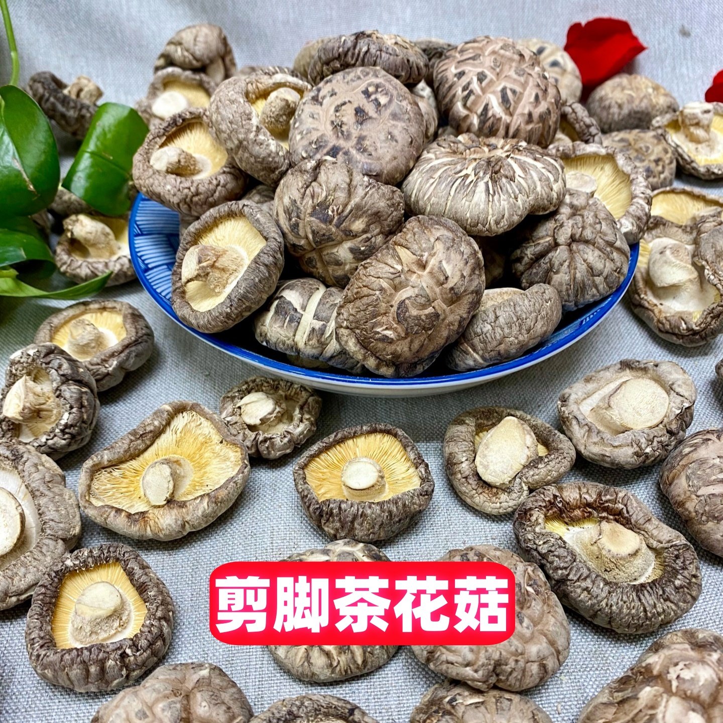 椴木大花菇 厚肉养生干香菇干货500g 冬菇蘑菇饨鸡汤煲汤年货送礼,淘宝优惠券,粉丝福利购,淘宝优惠卷