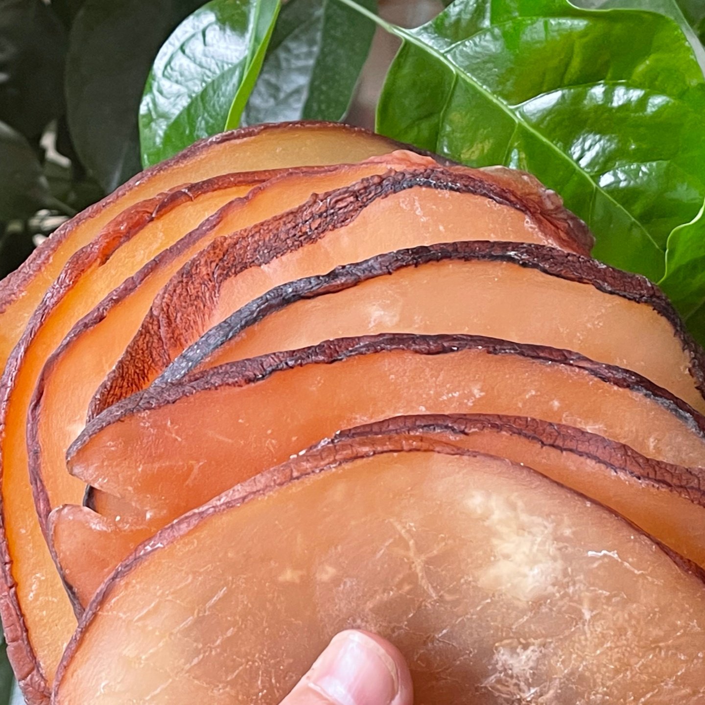 响螺片500g海鲜海产 海螺肉干货 红螺头汤包淡干养生滋补煲汤食材,淘宝优惠券,粉丝福利购,淘宝优惠卷