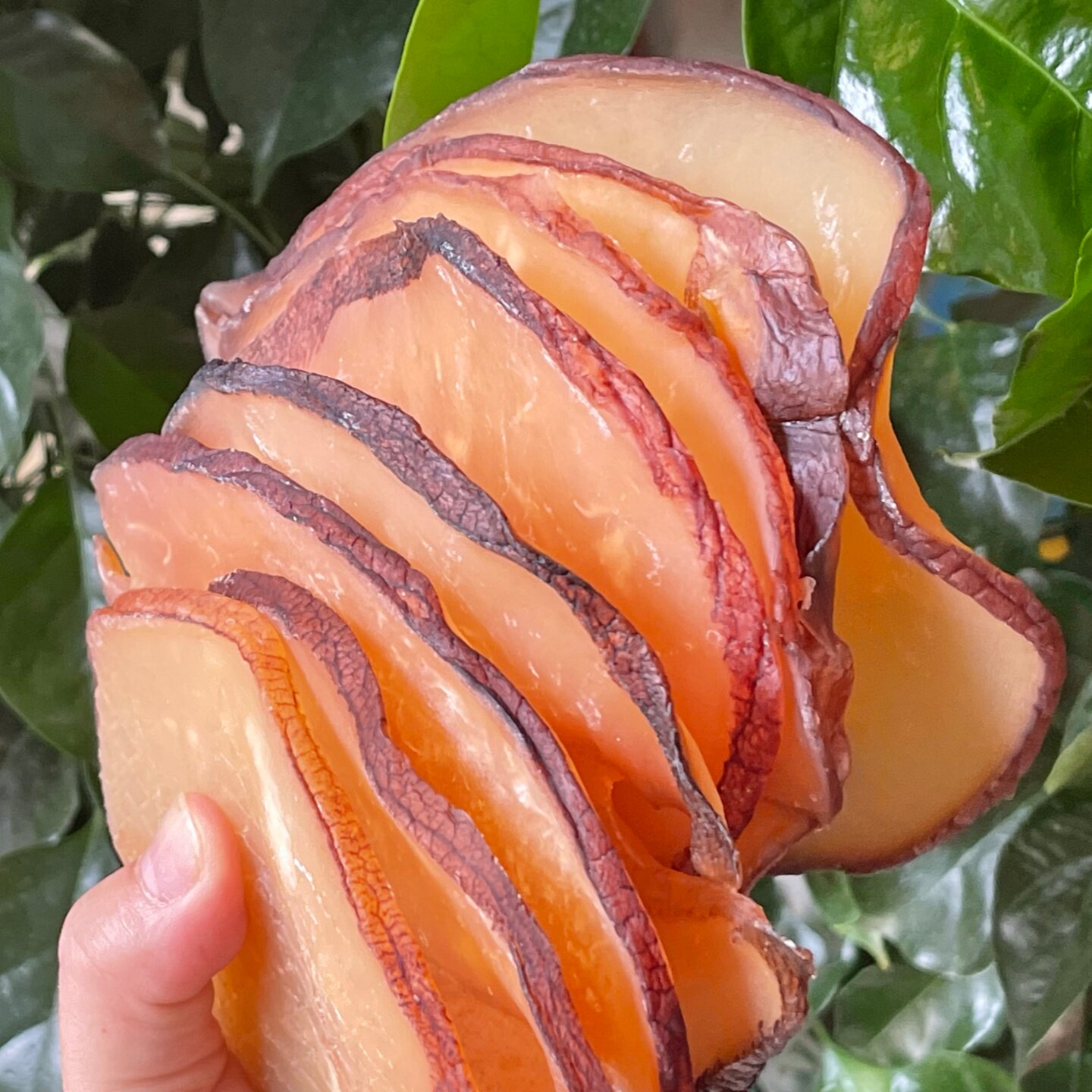 响螺片500g海鲜海产 海螺肉干货 红螺头汤包淡干养生滋补煲汤食材,淘宝优惠券,粉丝福利购,淘宝优惠卷