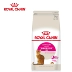 Thức ăn cho mèo hoàng gia hương vị toàn năng vào thức ăn cho mèo 2kg4 kg thú cưng ngoáy miệng Anh cộng với thức ăn cho mèo Philippines 25 tỉnh - Cat Staples Cat Staples