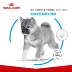 Thức ăn cho chó hoàng gia SIJ29 / 3kg Chó Shiba Inu thức ăn cho chó đặc biệt Chó trung bình Chó con chó Thức ăn cho chó Nhiều tỉnh - Chó Staples thức ăn smartheart Chó Staples