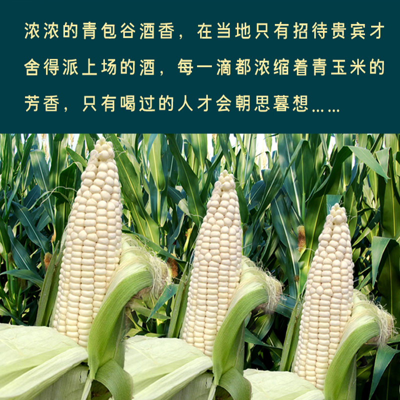 云南特产酒48度糯青包谷酒玉米烧酒纯粮食散装白酒清香型陈年老酒,淘宝优惠券,粉丝福利购,淘宝优惠卷