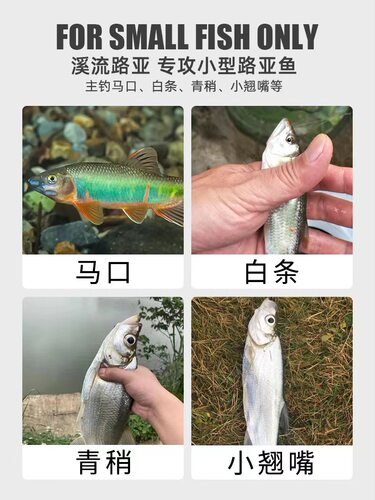 毒蚊飞蝇钩路亚微物飞钓带翅膀拟饵毒虫苍蝇手工绑制马口白条假饵 - 图2