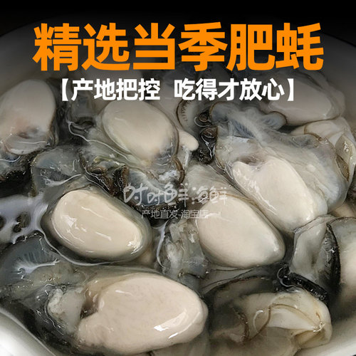 生蚝肉3斤鲜活现剥新鲜去壳潮汕海鲜汫洲珠蚝非乳山海蛎子牡蛎肉 - 图1