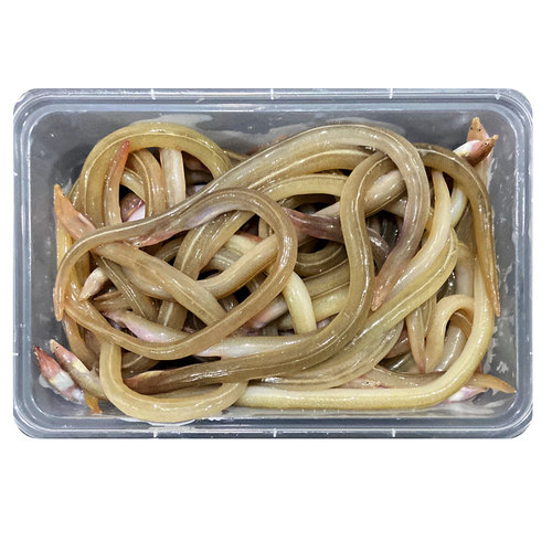 油筷鱼油鳗鱼海捕海鱼筷子鱼油龙潮汕特产海鲜水产蚓鳗小沙鳗鱼 - 图3