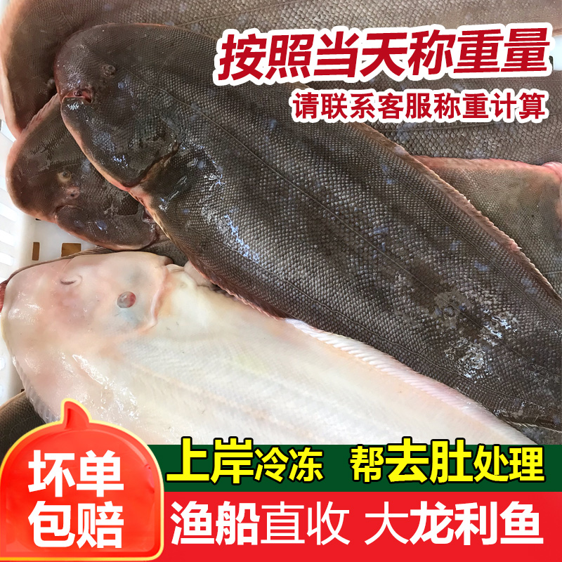 超大龙利鱼新鲜冷冻潮汕海鲜水产非巴沙鱼柳鱼片辅食鱼海捕龙舌鱼-图0