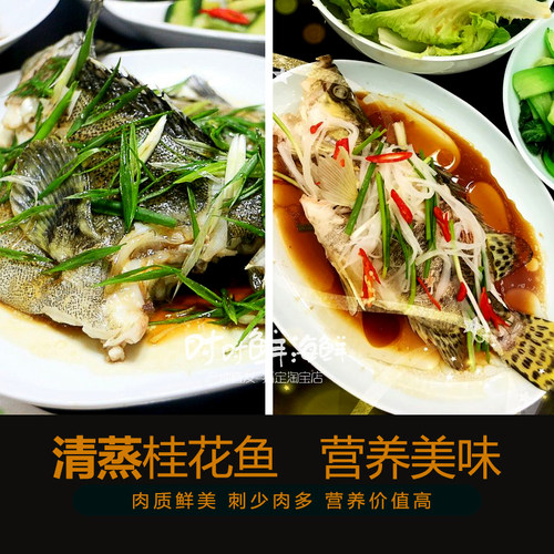 桂花鱼鲜活冷冻潮汕海鲜水产花鱼花鲫鱼清蒸海鱼新鲜桂鱼淡水鳜鱼 - 图2